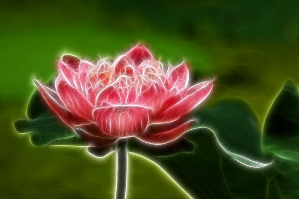 Lotus painting line