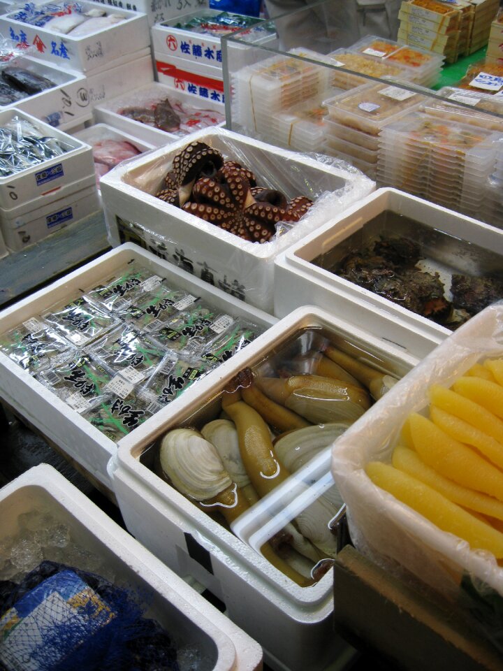 Tokyo tsukiji tourist