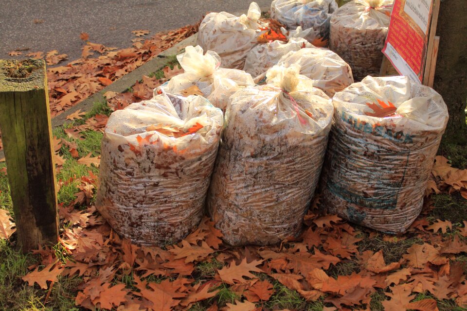 Autumn garbage disposal