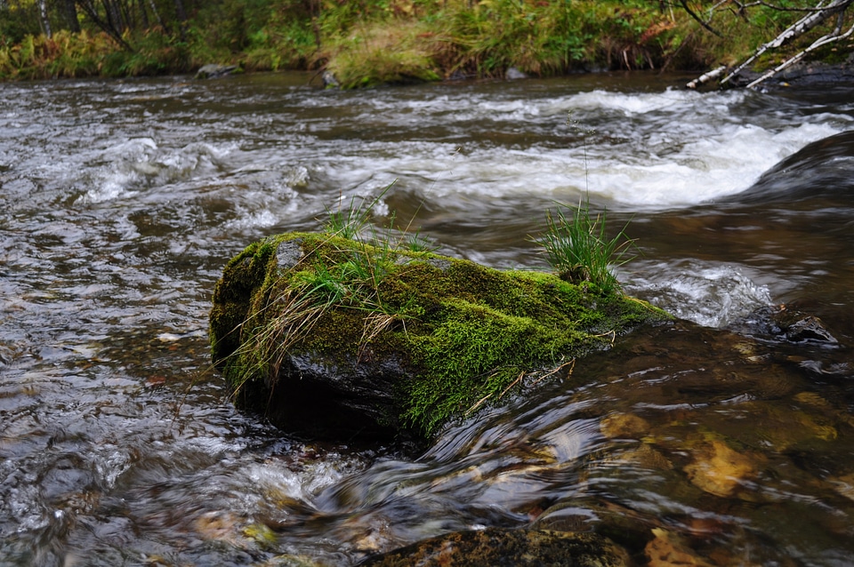 Rocks stones mosses photo