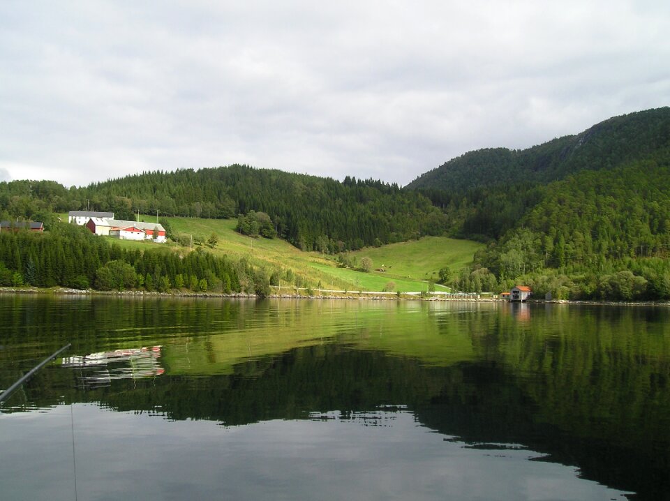 Norway fjord sea
