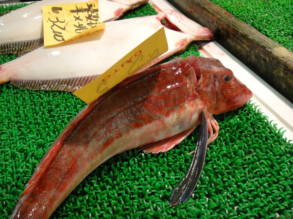 Tokyo tsukiji attraction