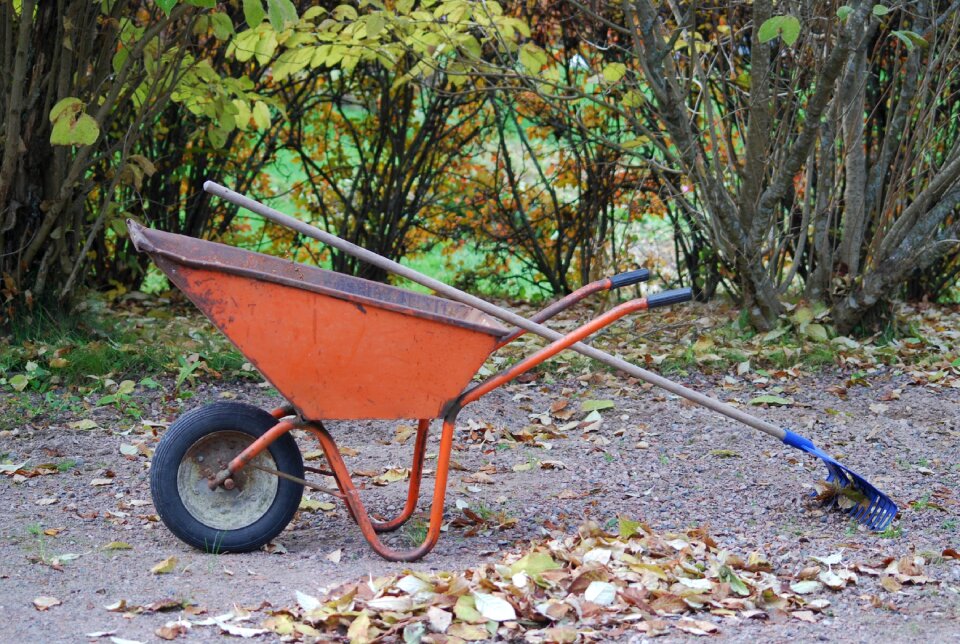 Autumn rake foliage