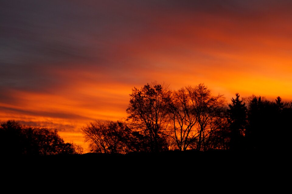 Bright red light trees photo