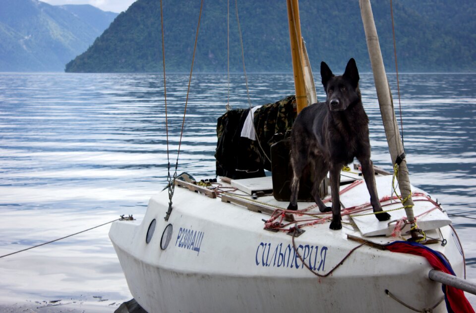 Yacht altai lake teletskoye