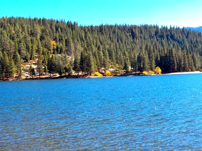 Water nature landscape