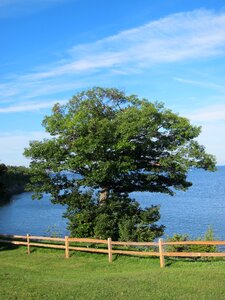 Lake nature landscape photo