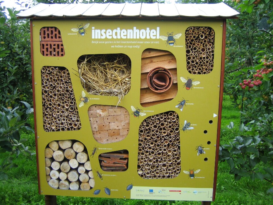 Insects hotel bees nature
