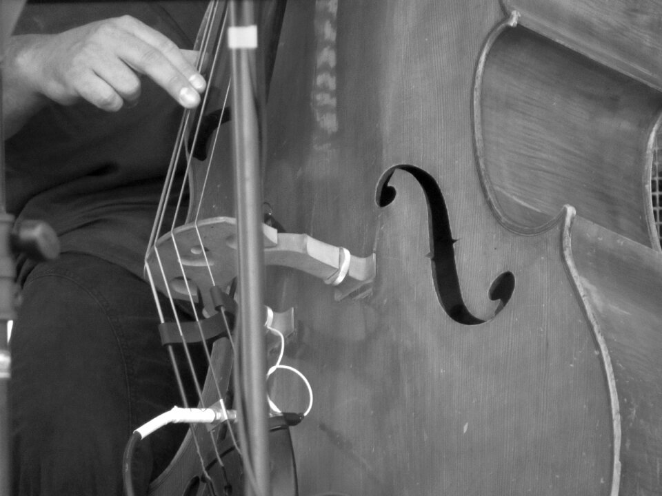 Double bass music jazz photo