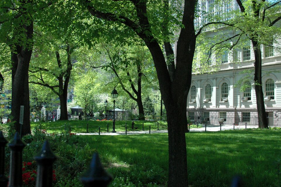Building trees architecture