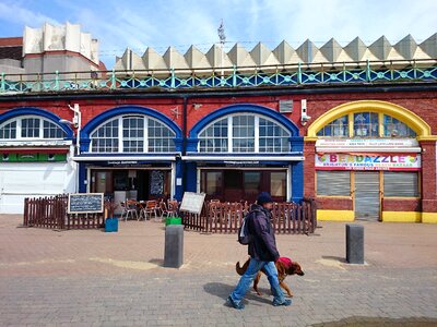 Brighton pedestrians walking the dog photo