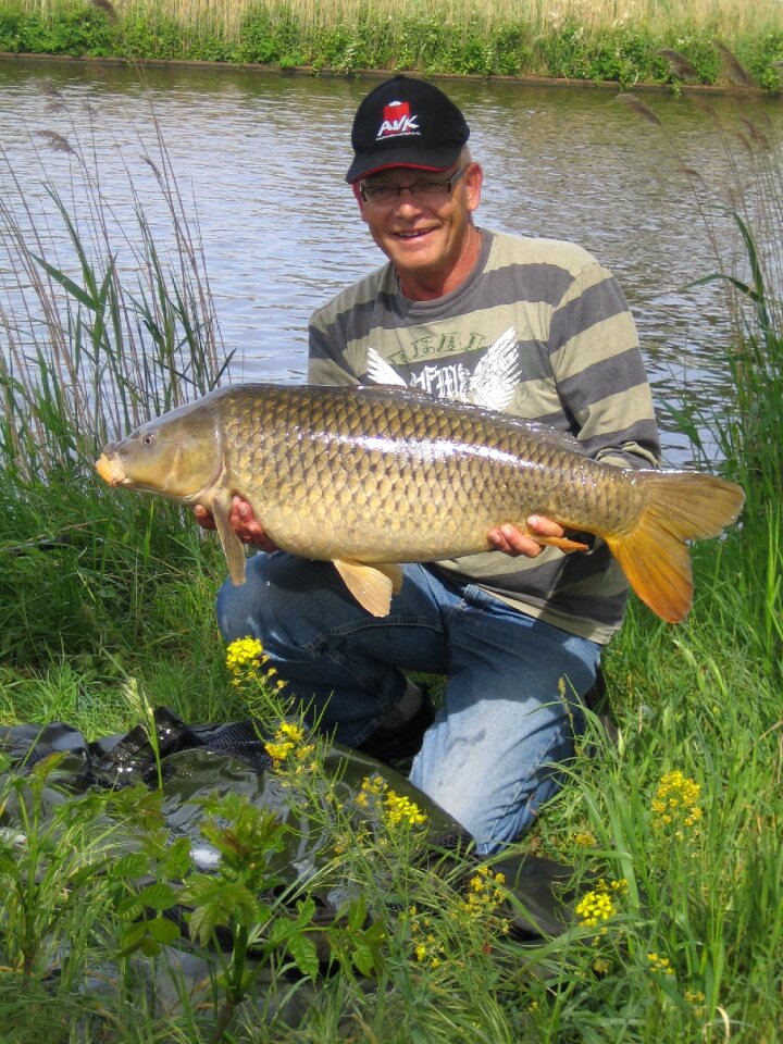 Summer fish fishing