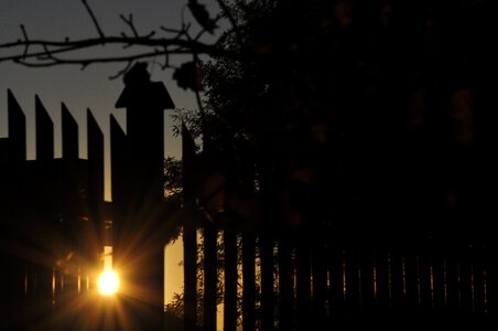 The sun twilight branches photo