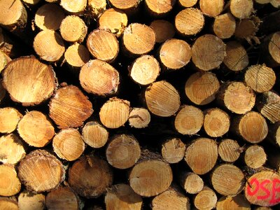 Nature durable logging