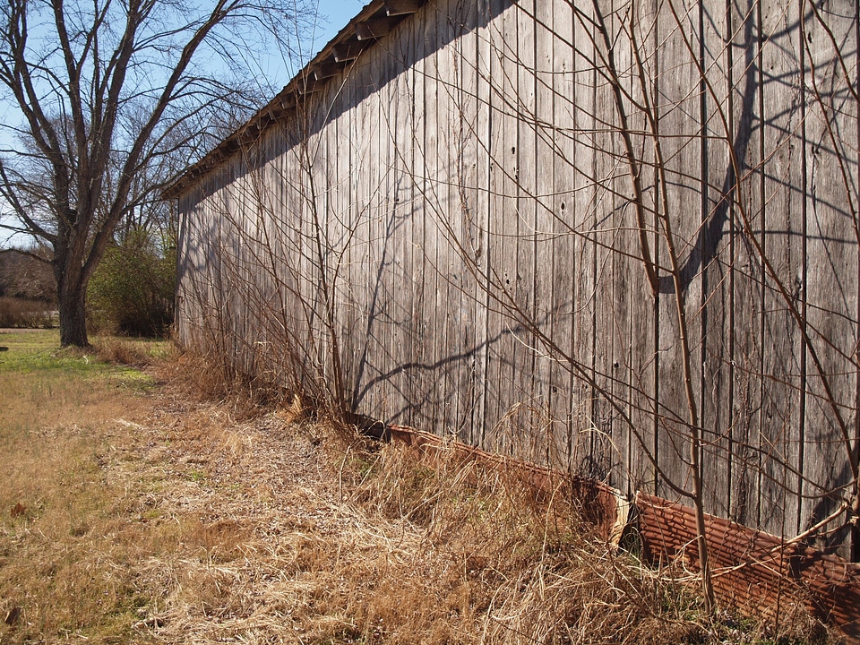 Farm blue sky