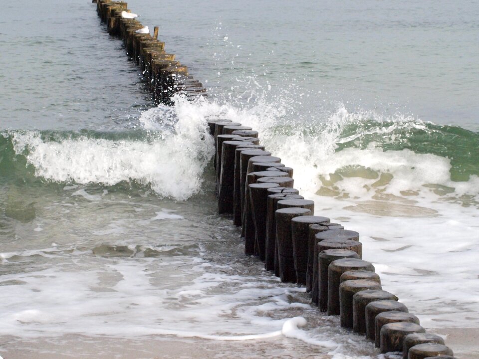 Coast wave dynamic