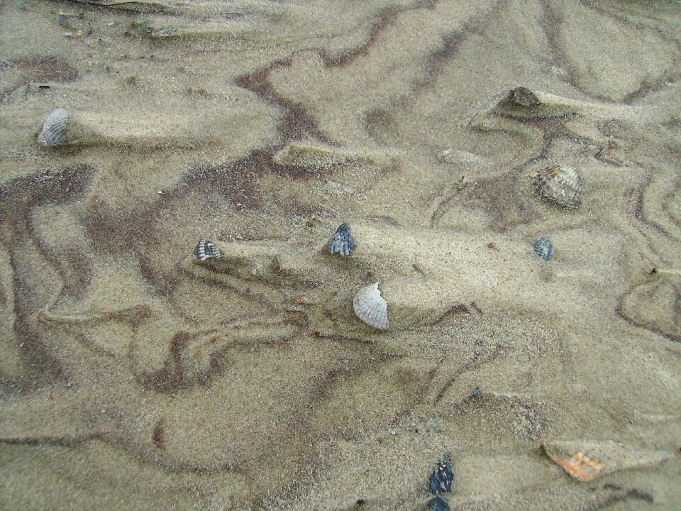Beach nature sand beach
