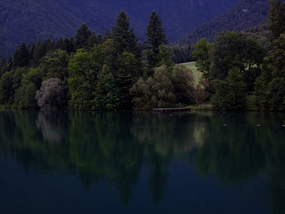 Water nature evening