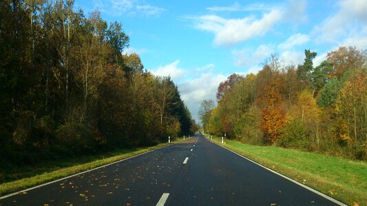 Road autumn day forest photo