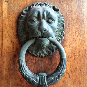 Lion door bronze photo