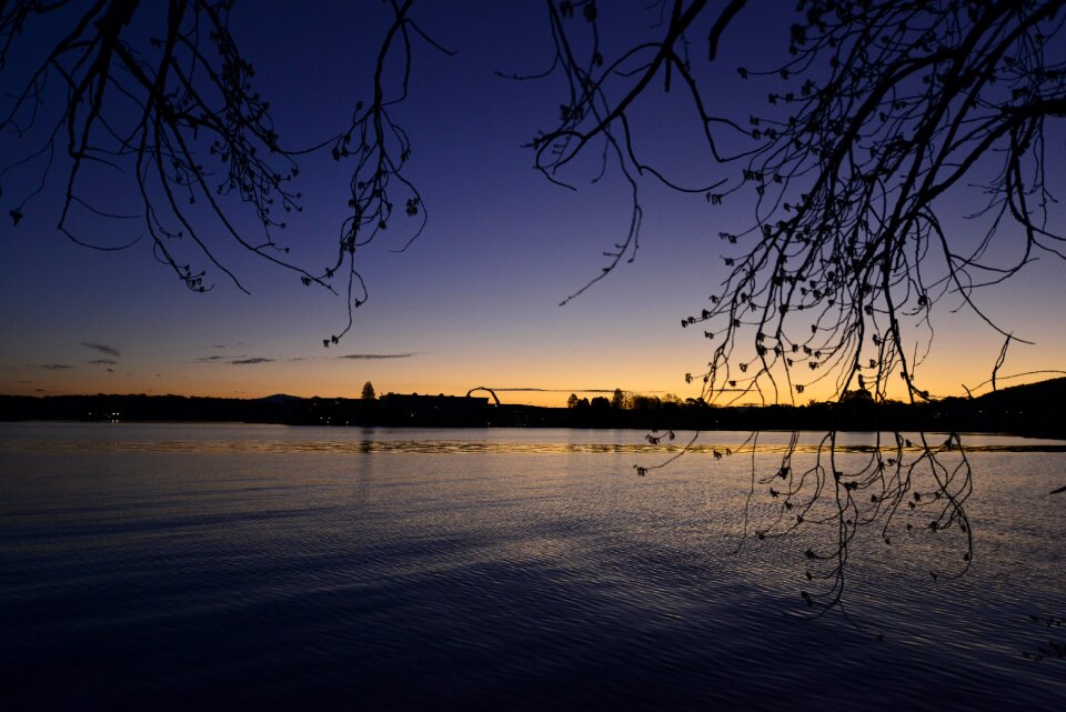 Evening tree lake