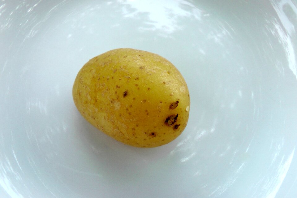 Potato cooked Free photos