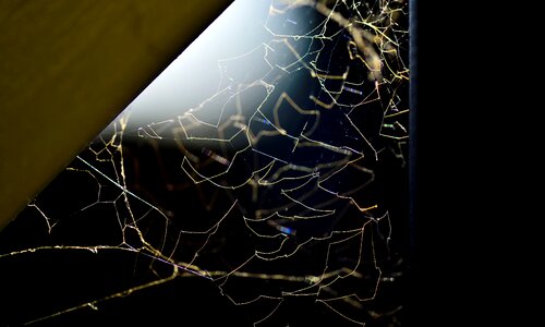 A spider's web light corner