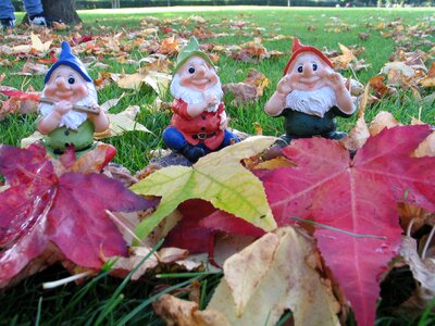 Nature leaf garden