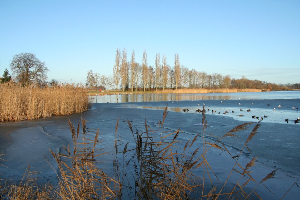 Cold netherlands water