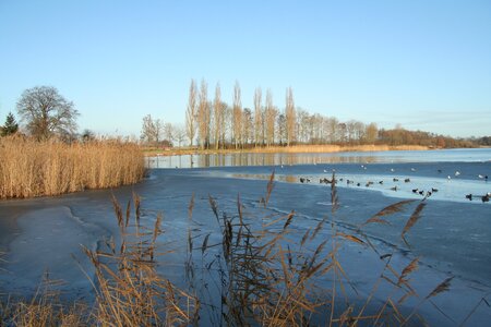 Cold netherlands water
