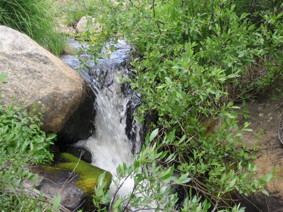 Landscape flow