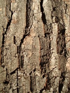 Brown pattern wooden