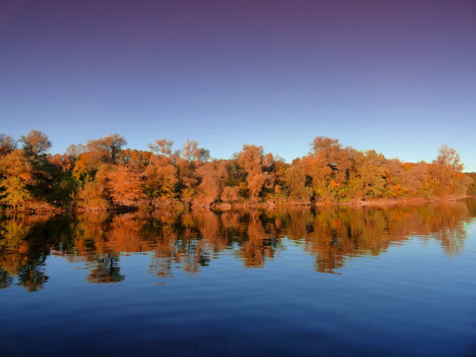 Reffenthal nature landscape