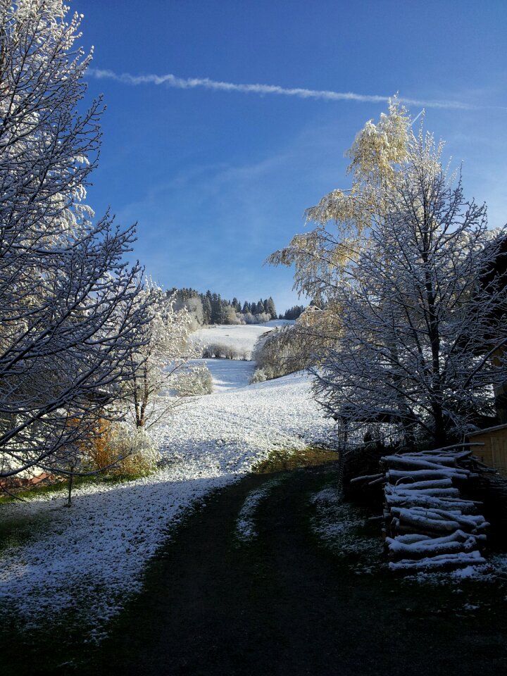 White cold snow magic