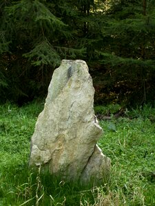 Mature countries forest stone ore mountains