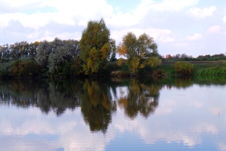 Reflection trees pokoj photo