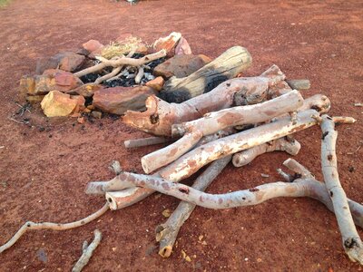 Fireplace firewood tree