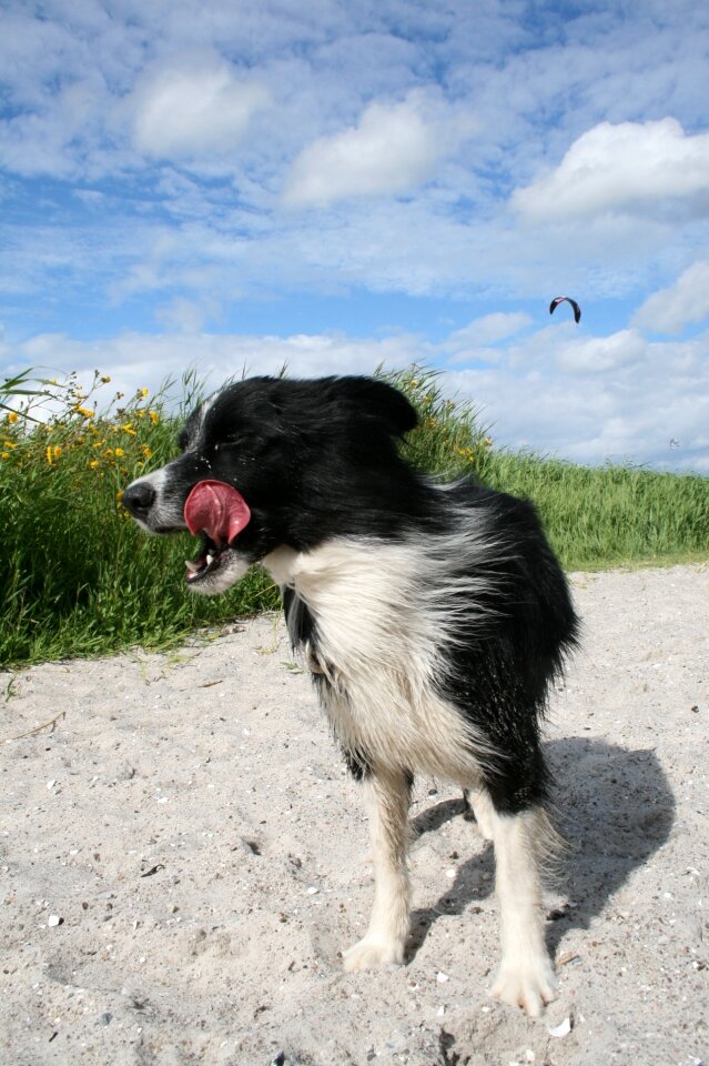 Sand beach fun baltic sea