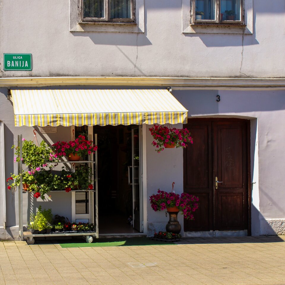 Shop retail floral