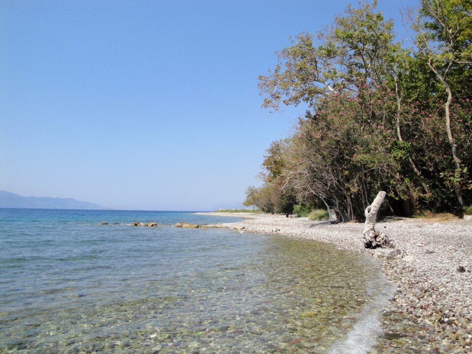 Beach sea water