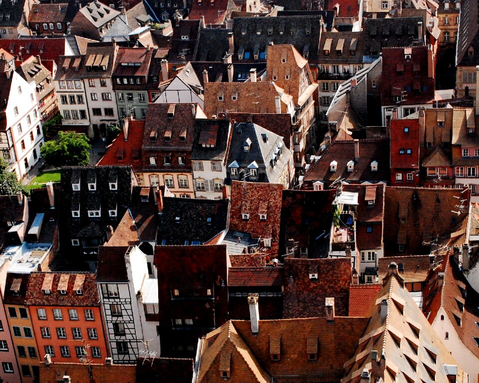 Strasbourg roofs brown
