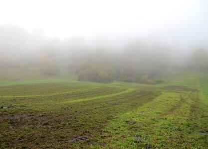 Fog arable nature photo