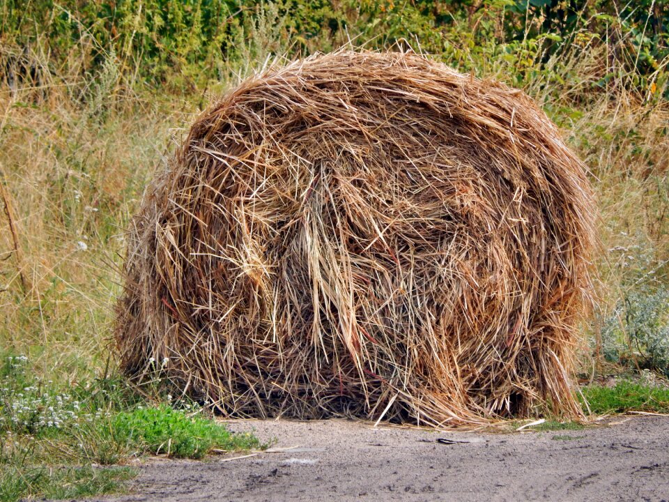 Haystack haymaking harvest