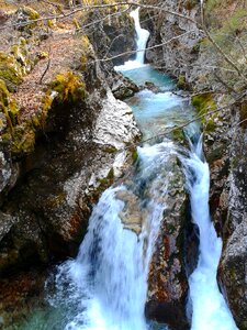 Forest mountain waterfall