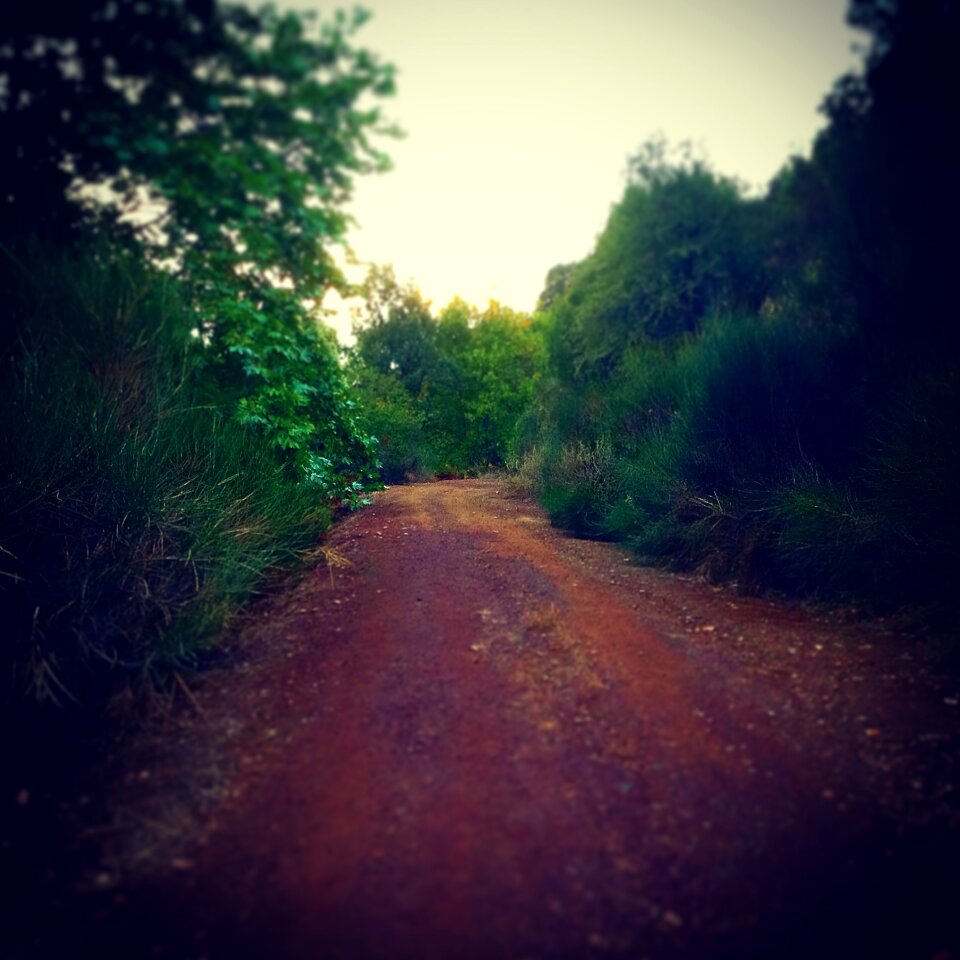 Green nature natural