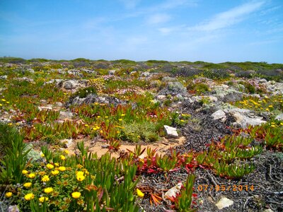 Algarve coast nature
