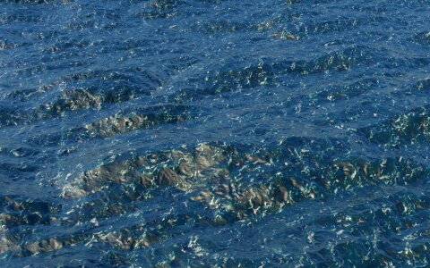 Nature blue sea lively
