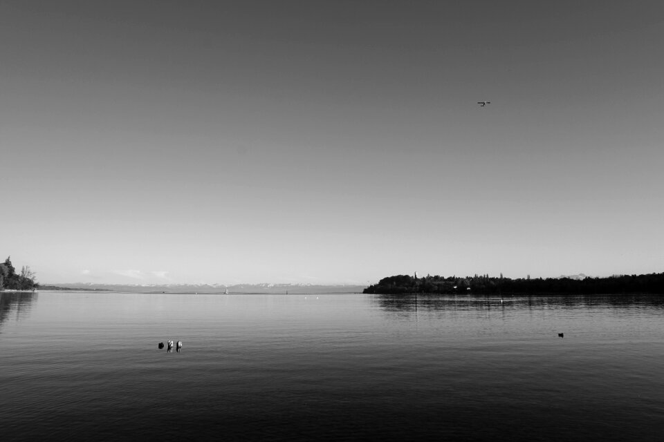 Quiet black and white rest
