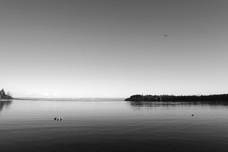 Quiet black and white rest