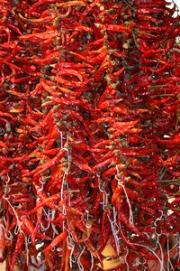 Chili pepper market spice photo